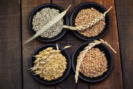 Glutenhaltiges Getreide (Weizen, Roggen, Dinkel, Hafer)