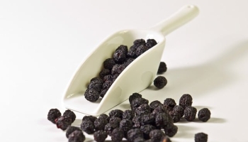 Die Aroniabeeren, das heimische Superfood